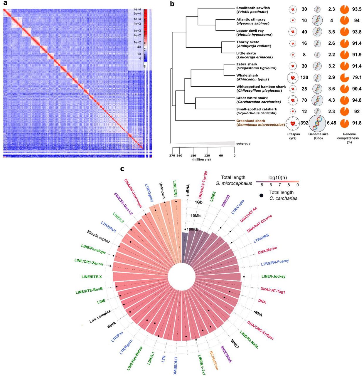 Comparative infographic